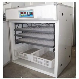 EGG INCUBATOR LEW-115